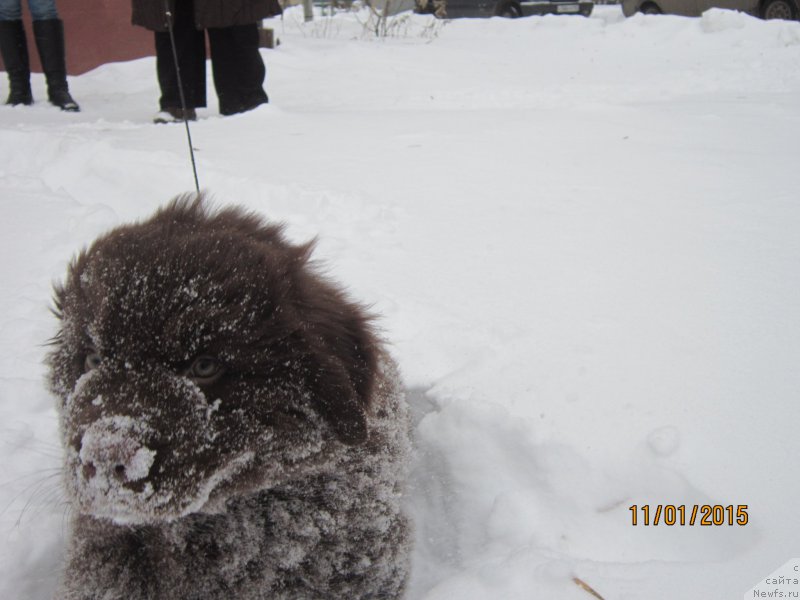 Фотография № 172576