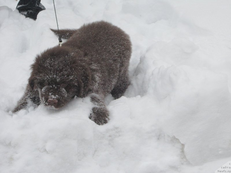 Фотография № 172578