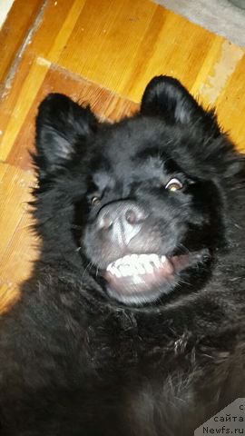 Фотография № 172633