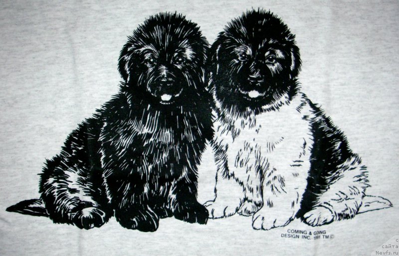 Фотография № 172646