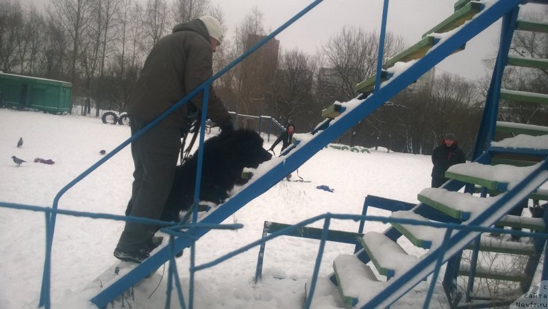 Фотография № 172674