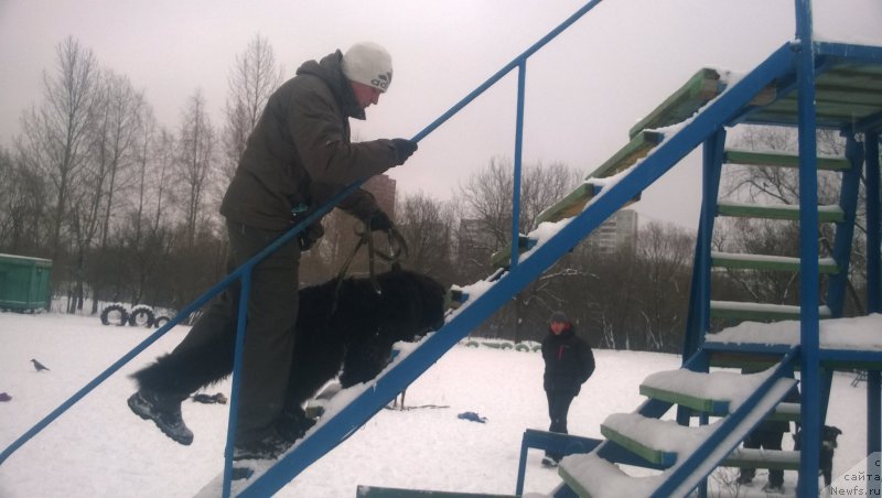 Фотография № 172675