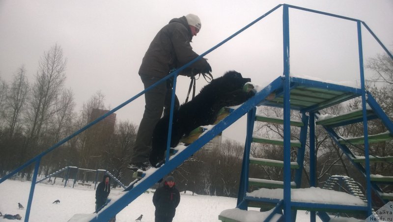 Фотография № 172677