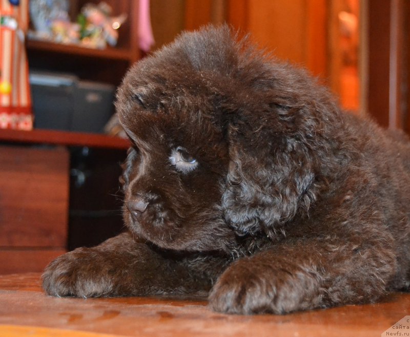 Фотография № 172728