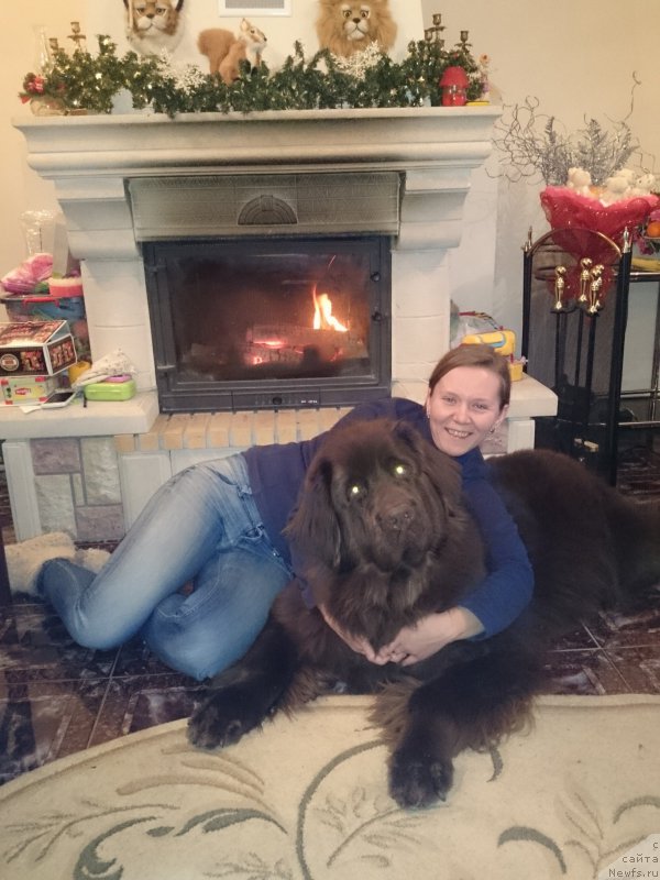 Фотография № 172753