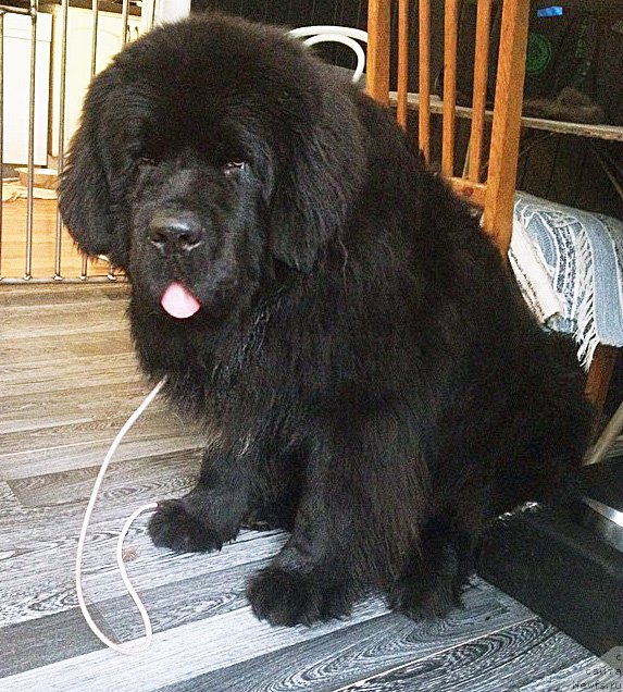 Фотография № 172785