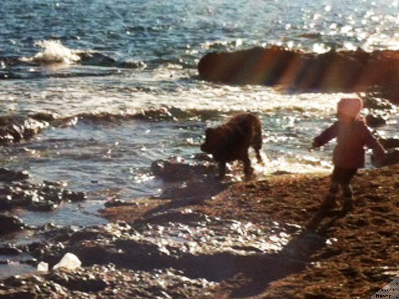 Фотография № 172798