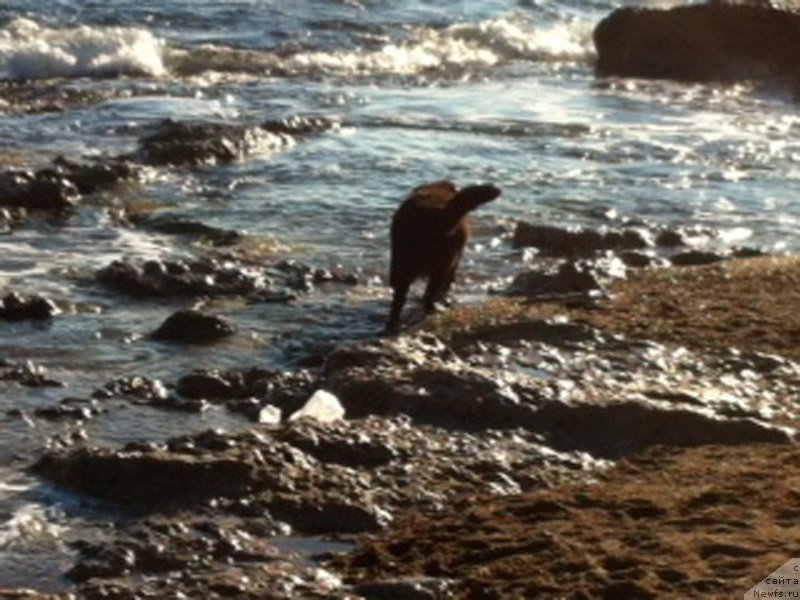 Фотография № 172800