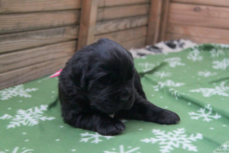 Фото: Акватория Келвин Вэшки.