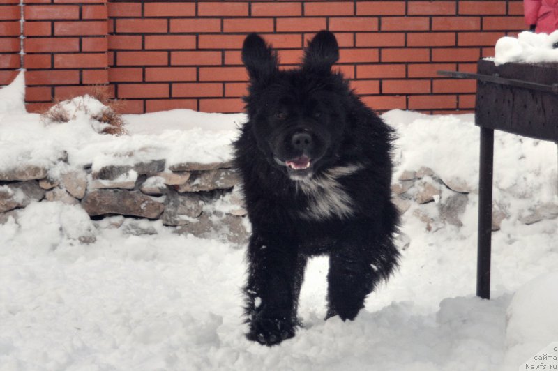 Фотография № 172863