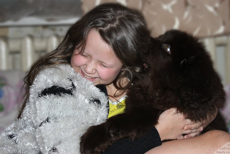 Фотография № 172870