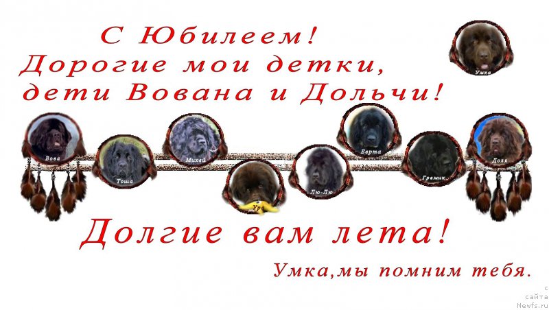 Фото: ньюфаундленд Vivat Vialiki Miadzvedz (Виват Вялiкi Мядзведзь), ньюфаундленд Fann'yuf Udalec Molodec (Фанньюф Удалец Молодец), ньюфаундленд Fann'yuf Udachnyiy SHalopay (Фанньюф Удачный Шалопай), ньюфаундленд Fann'yuf Ura YA s Vami (Фанньюф Ура Я с Вами), ньюфаундленд Funnewf Uletnaya Devchenka (Фанньюф Улетная Девчонка), ньюфаундленд Funnewf Ultra Mega Super Girl (Фанньюф Ультра Мега Супер Герл), ньюфаундленд Fann'yuf Uilgryem Syer (Фанньюф Уилгрэм Сэр), ньюфаундленд Fann'yuf Uspeh v SHokolade (Фанньюф Успех в Шоколаде)