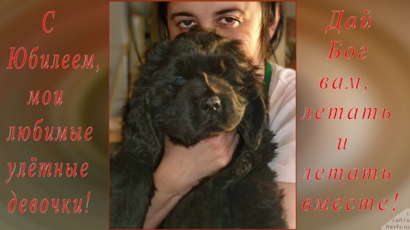 Фото: ньюфаундленд Funnewf Uletnaya Devchenka (Фанньюф Улетная Девчонка), Ol'ga Braslavskaya (Ольга Браславская)