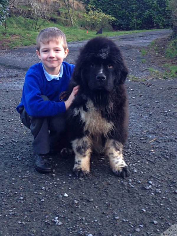 Фотография № 172936