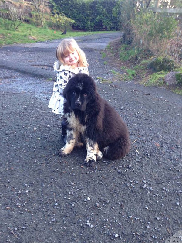 Фотография № 172937