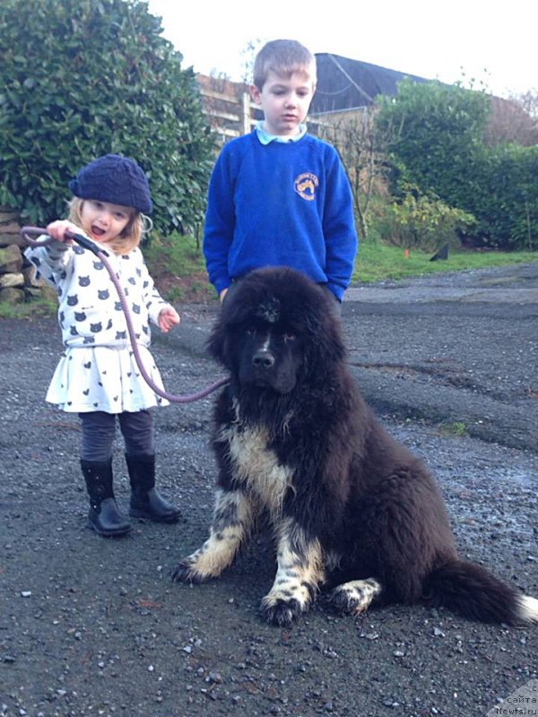 Фотография № 172938