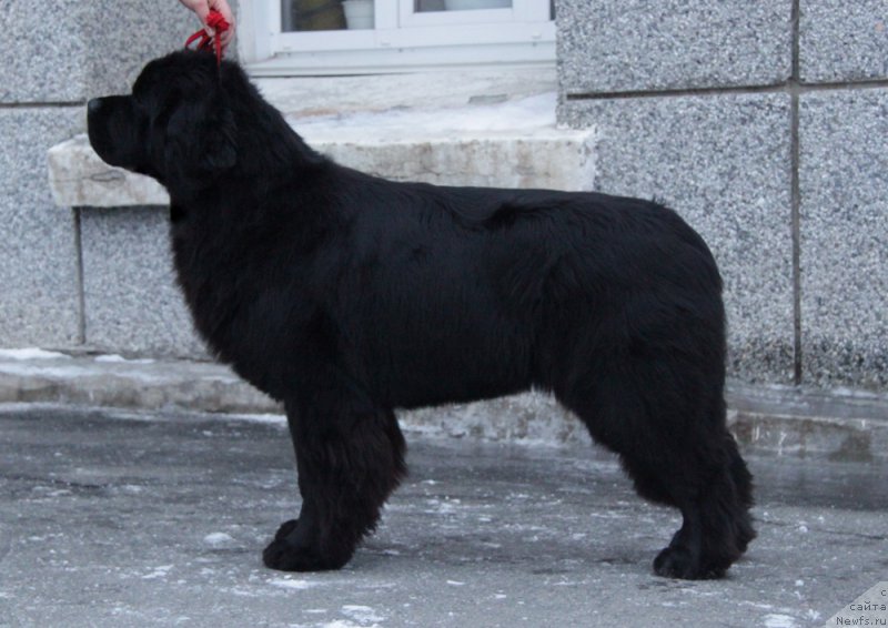 Фотография № 172953