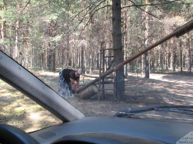 Фото: Marina Turapina (Марина Турапина)