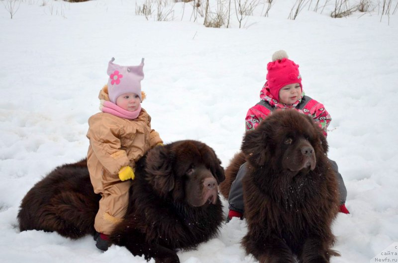 Фотография № 172995