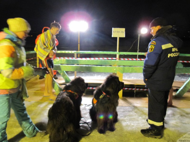 Фотография № 173010