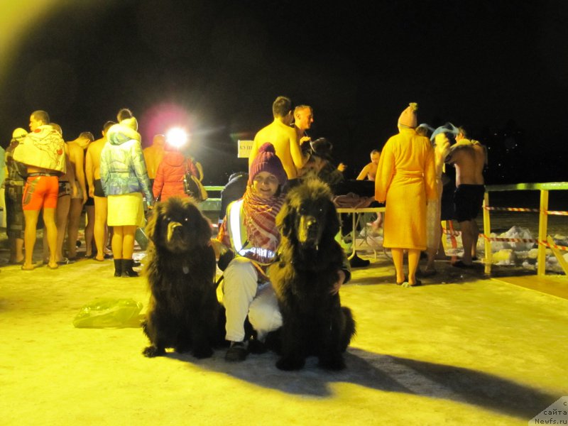 Фотография № 173011