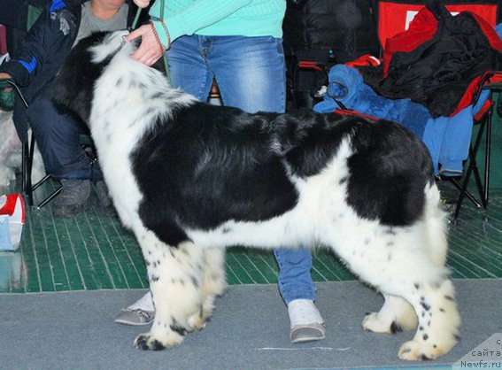 Фотография № 173034