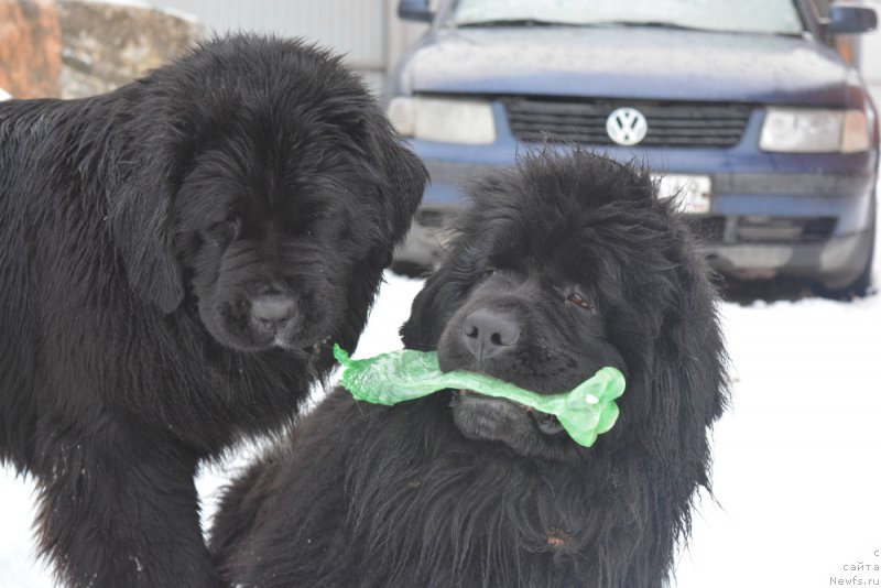 Фотография № 173050