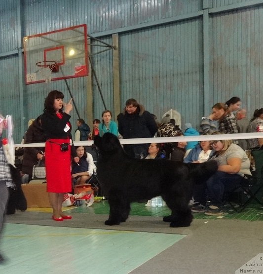 Фотография № 173068