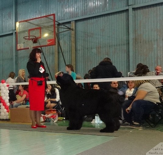 Фотография № 173070