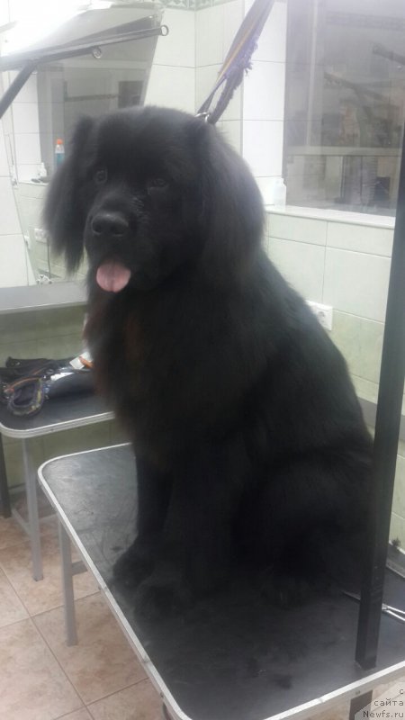 Фотография № 173072