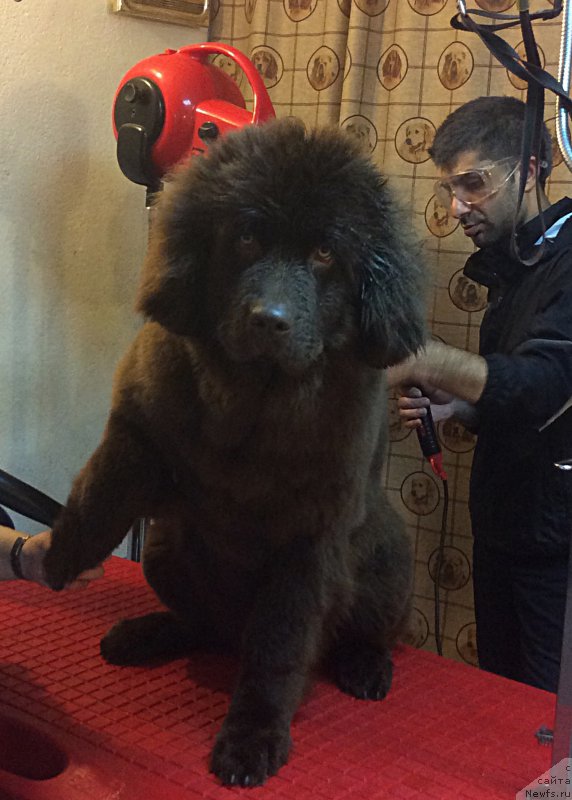 Фото: Ekaterina Stankevich (Екатерина Станкевич)