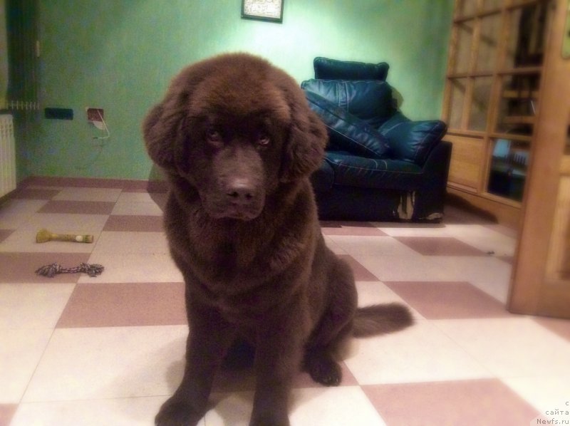 Фото: Ekaterina Stankevich (Екатерина Станкевич)