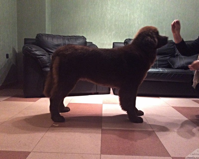 Фото: Ekaterina Stankevich (Екатерина Станкевич)