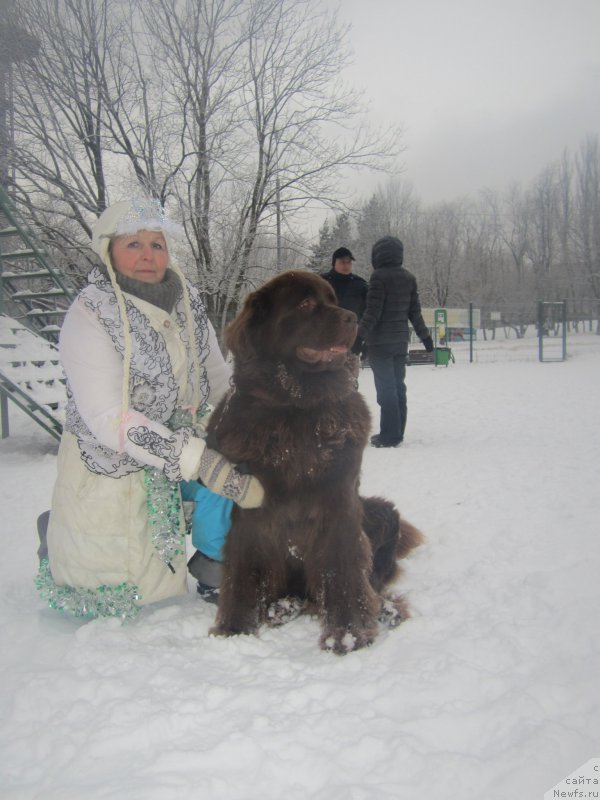 Фото: Natal'ya Smazchikova (Наталья Смазчикова)