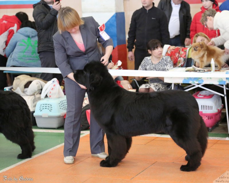 Фотография № 173114