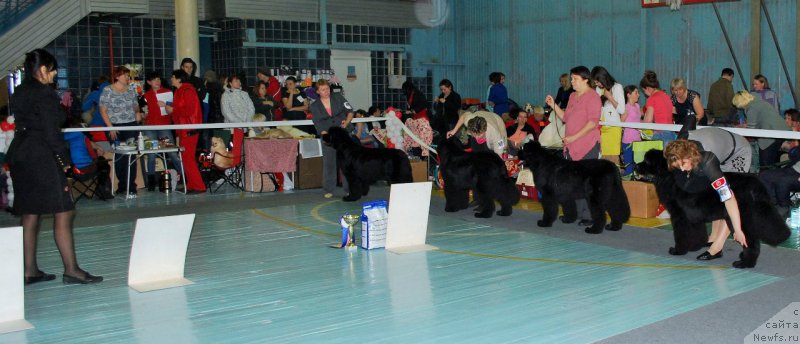 Фотография № 173134