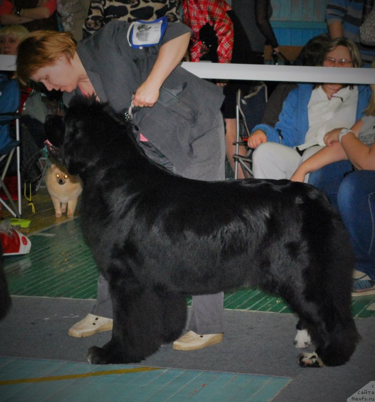 Фотография № 173139