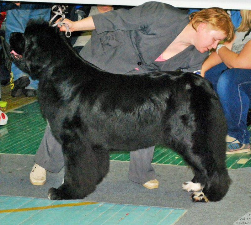 Фотография № 173142