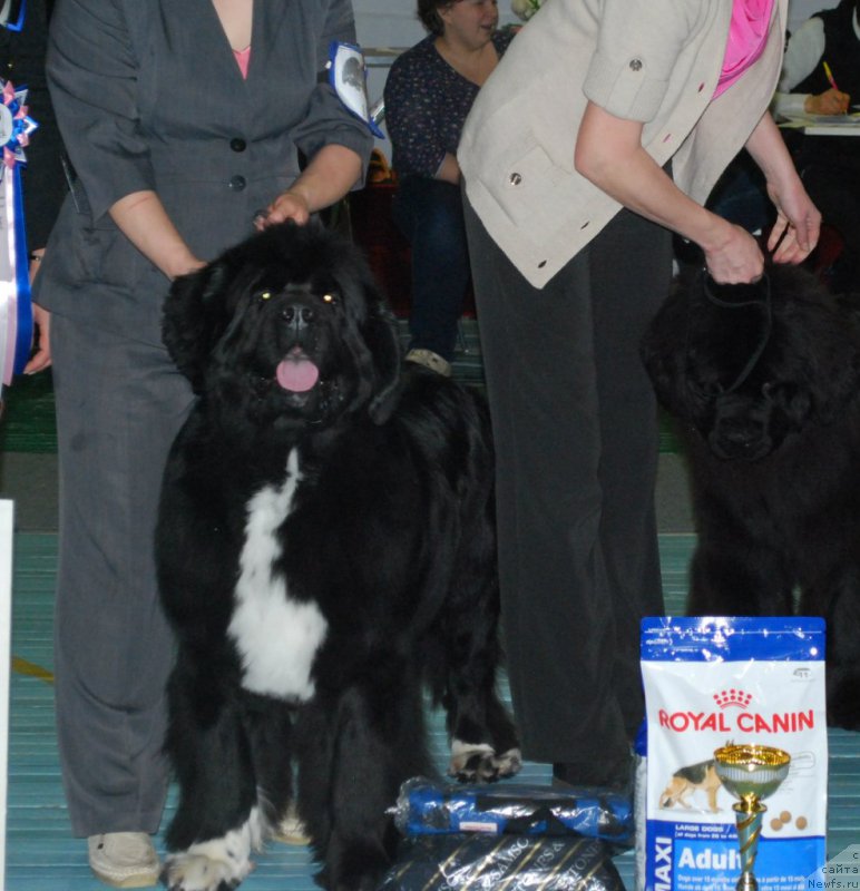 Фотография № 173145