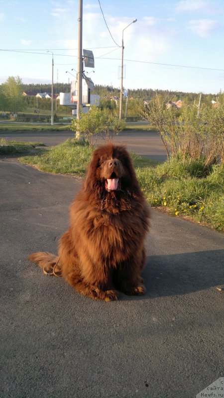 Фото: АРГОНАВТ ИЗ АРКАИМА