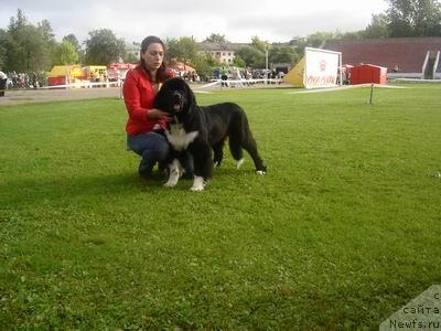 Фотография № 17317