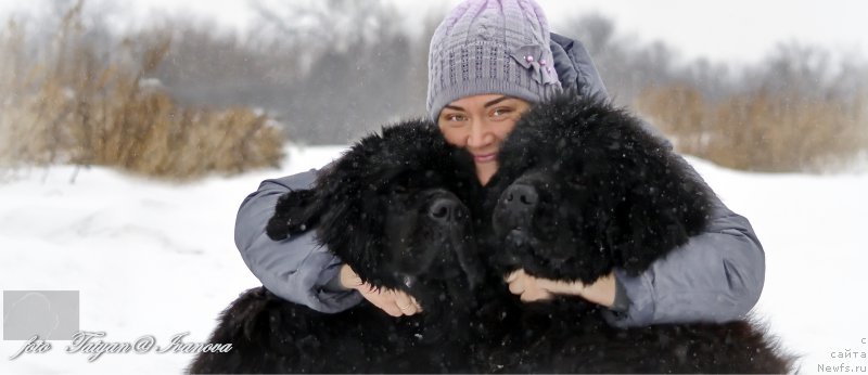 Фото: ньюфаундленд Rusalochka iz Plemeni Kedra (Русалочка из Племени Кедра), Elizaveta Pavlova (Елизавета Павлова), ньюфаундленд YEl'brus iz Antagrada (Эльбрус из Антаграда)