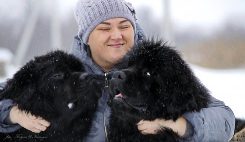 Фото: ньюфаундленд Rusalochka iz Plemeni Kedra (Русалочка из Племени Кедра), Elizaveta Pavlova (Елизавета Павлова), ньюфаундленд YEl'brus iz Antagrada (Эльбрус из Антаграда)