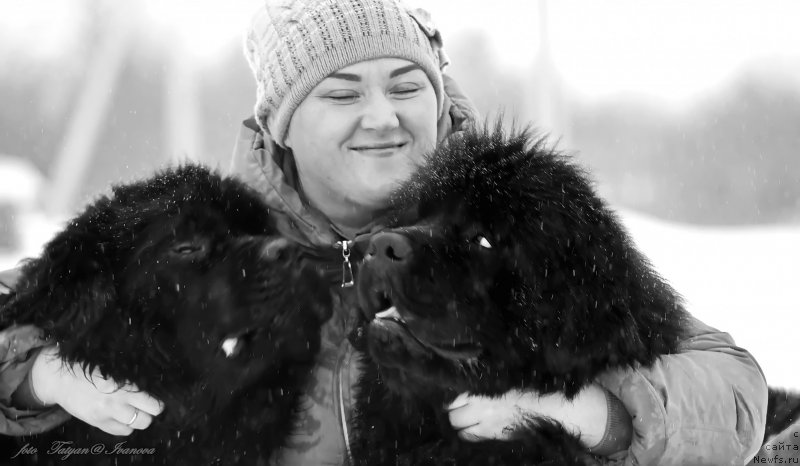 Фото: ньюфаундленд Rusalochka iz Plemeni Kedra (Русалочка из Племени Кедра), Elizaveta Pavlova (Елизавета Павлова), ньюфаундленд YEl'brus iz Antagrada (Эльбрус из Антаграда)