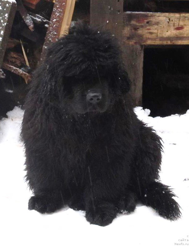 Фото: Smigar Every beat of my heart-Андрюша