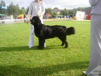 Фотография № 17319