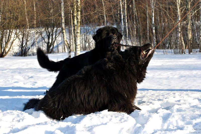 Фотография № 173206