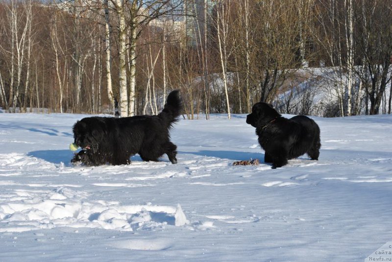 Фотография № 173207