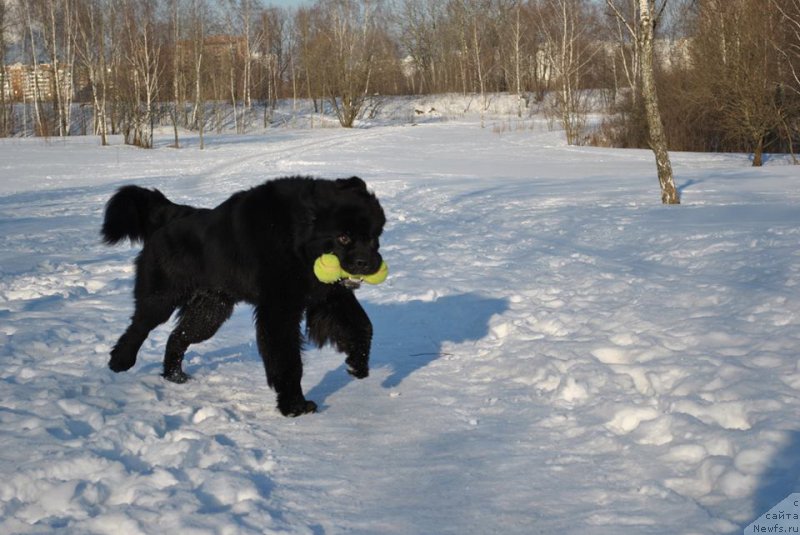 Фотография № 173208