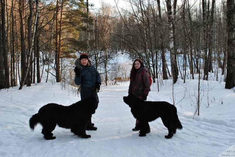 Фотография № 173209